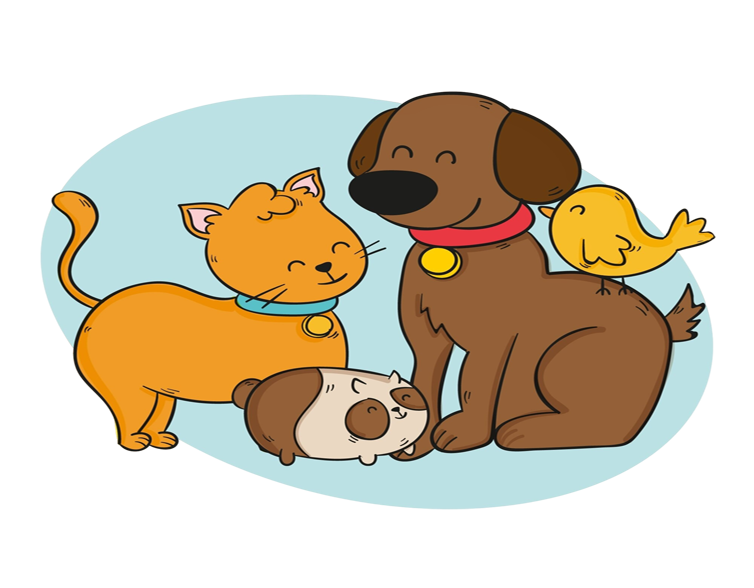 linkopet