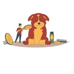 popular_services
