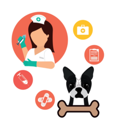 popular_services