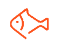 ماهی