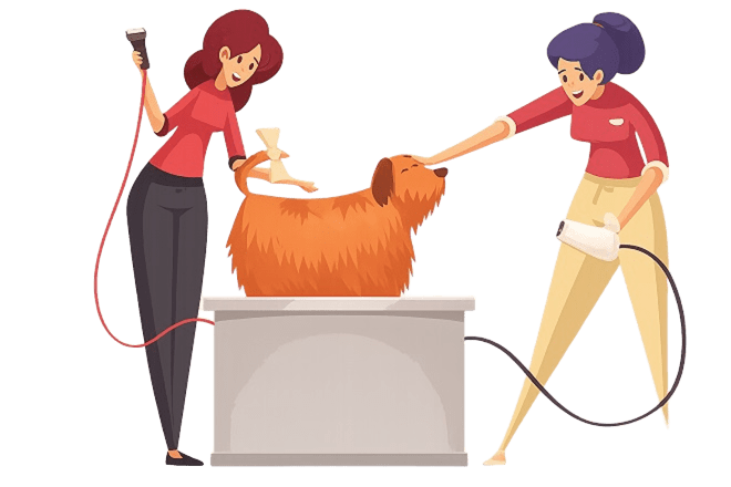 pet_service